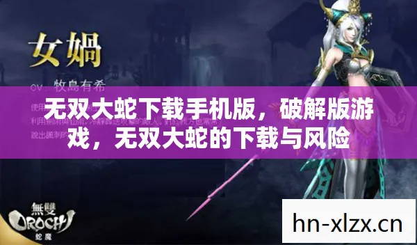 无双大蛇的下载与风险图片