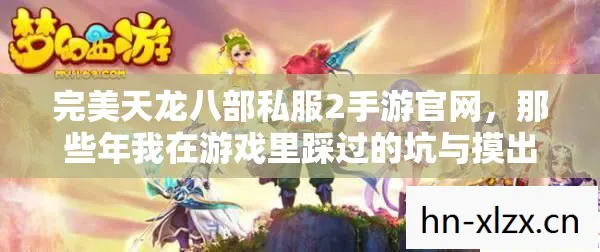 那些年我在游戏里踩过的坑与摸出的野路子天龙私服图片