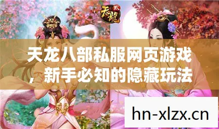 天龙八部私服网页游戏，新手必知的隐藏玩法与畅玩秘籍天龙八部私服