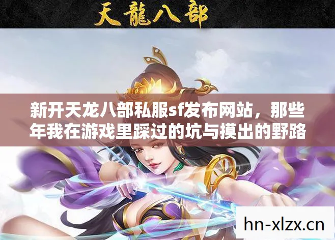 那些年我在游戏里踩过的坑与摸出的野路子天龙私服图片