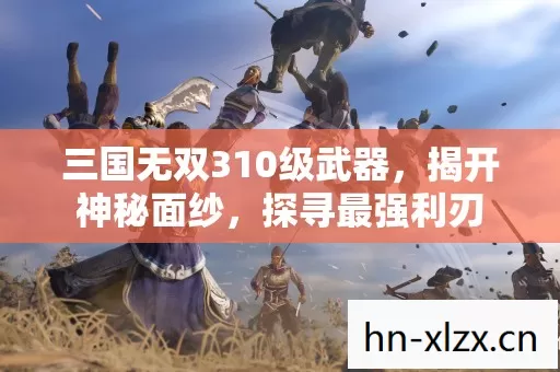 三国无双310级武器图片