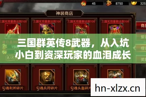 从入坑小白到资深玩家的血泪成长史图片
