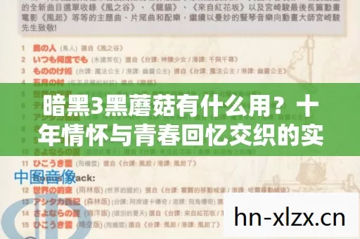 十年情怀与青春回忆交织的实测认证答案图片