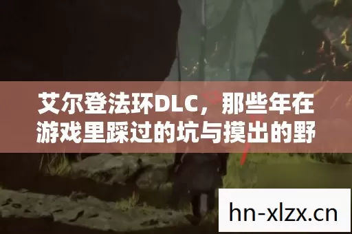 艾尔登法环DLC,那些年在游戏里踩过的坑与摸出的野路子 艾尔登法环DLC,那些年在游戏里踩过的坑与摸出的野路子