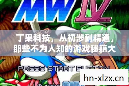 那些不为人知的游戏秘籍大揭秘图片