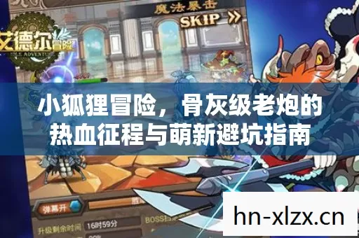 小狐狸冒险,骨灰级老炮的热血征程与萌新避坑指南 小狐狸冒险,骨灰级老炮的热血征程与萌新避坑指南