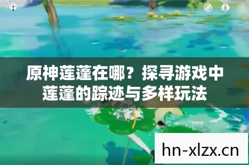 探寻游戏中莲蓬的踪迹与多样玩法图片