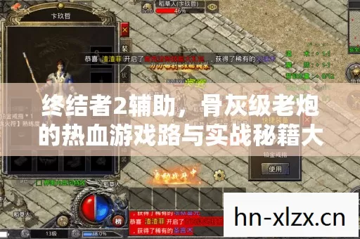 骨灰级老炮的热血游戏路与实战秘籍大公开图片