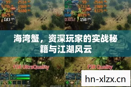 资深玩家的实战秘籍与江湖风云图片