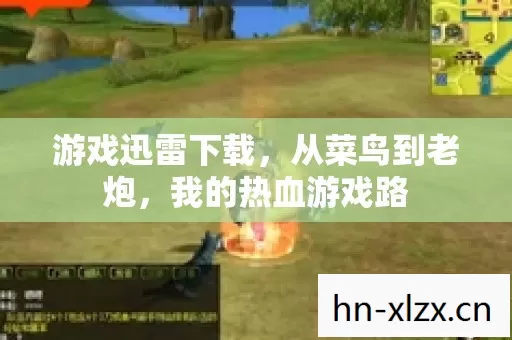 我的热血游戏路图片