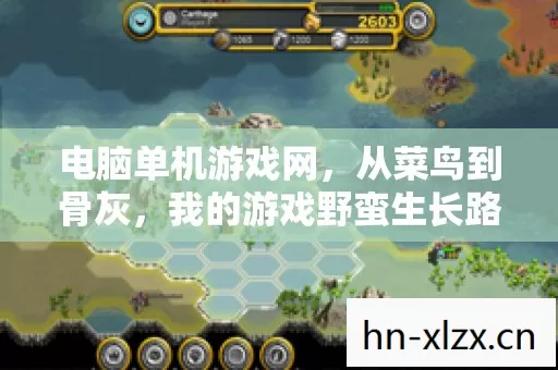 电脑单机游戏网,从菜鸟到骨灰,我的游戏野蛮生长路 电脑单机游戏网,从菜鸟到骨灰,我的游戏野蛮生长路