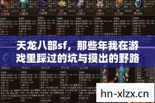 天龙八部sf,那些年我在游戏里踩过的坑与摸出的野路子 天龙八部sf,那些年我在游戏里踩过的坑与摸出的野路子