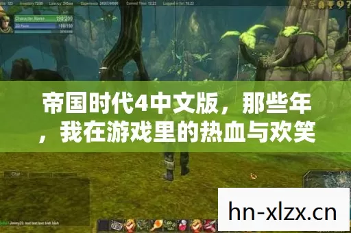 帝国时代4中文版,那些年,我在游戏里的热血与欢笑 帝国时代4中文版,那些年,我在游戏里的热血与欢笑