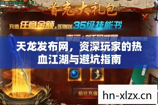 天龙发布网,资深玩家的热血江湖与避坑指南 天龙发布网,资深玩家的热血江湖与避坑指南