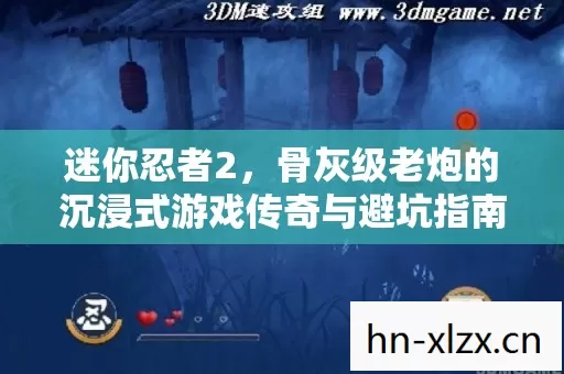 迷你忍者2,骨灰级老炮的沉浸式游戏传奇与避坑指南 迷你忍者2,骨灰级老炮的沉浸式游戏传奇与避坑指南