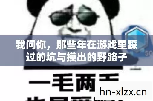 我问你,那些年在游戏里踩过的坑与摸出的野路子 我问你,那些年在游戏里踩过的坑与摸出的野路子