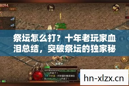 十年老玩家血泪总结图片