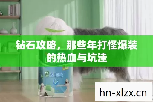 钻石攻略,那些年打怪爆装的热血与坑洼 钻石攻略,那些年打怪爆装的热血与坑洼