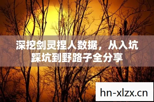 从入坑踩坑到野路子全分享图片