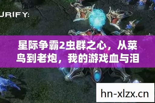 星际争霸2虫群之心,从菜鸟到老炮,我的游戏血与泪全记录 星际争霸2虫群之心,从菜鸟到老炮,我的游戏血与泪全记录