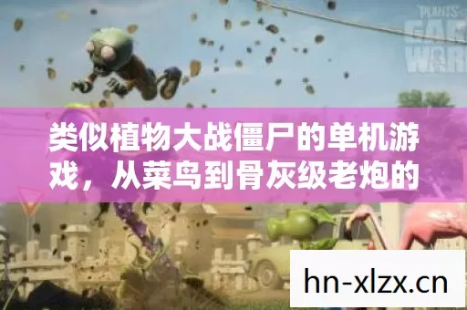 从菜鸟到骨灰级老炮的逆袭之路图片