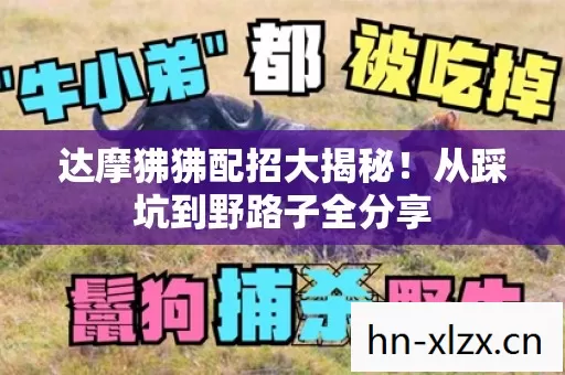 从踩坑到野路子全分享图片