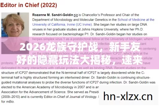 新手友好的隐藏玩法大揭秘图片