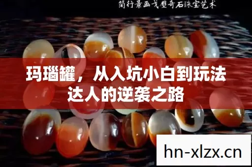 从入坑小白到玩法达人的逆袭之路图片