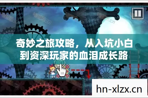 从入坑小白到资深玩家的血泪成长路图片