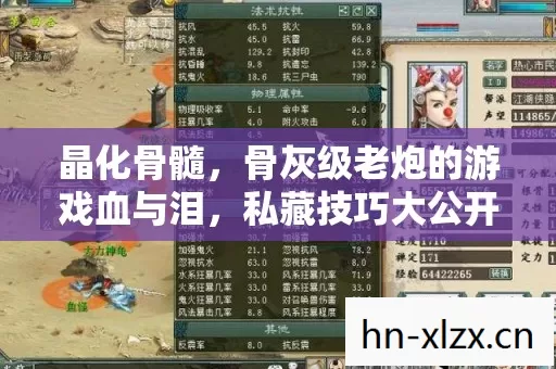 骨灰级老炮的游戏血与泪图片