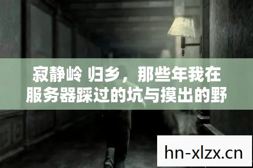 那些年我在服务器踩过的坑与摸出的野路子图片