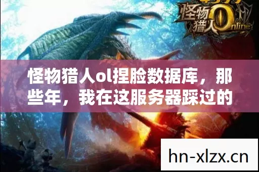 我在这服务器踩过的坑与摸出的野路子图片