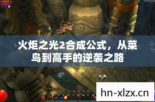 从菜鸟到高手的逆袭之路图片