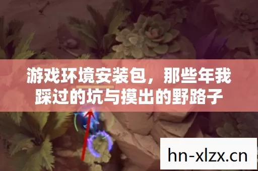 游戏环境安装包,那些年我踩过的坑与摸出的野路子 游戏环境安装包,那些年我踩过的坑与摸出的野路子