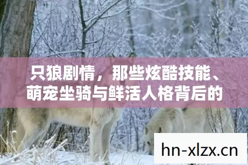 只狼剧情,那些炫酷技能、萌宠坐骑与鲜活人格背后的精彩故事 只狼剧情,那些炫酷技能、萌宠坐骑与鲜活人格背后的精彩故事