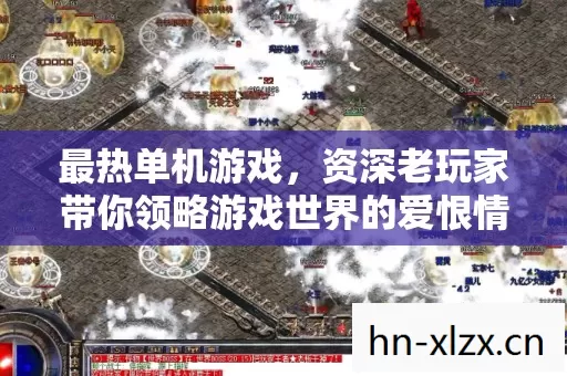 最热单机游戏,资深老玩家带你领略游戏世界的爱恨情仇 最热单机游戏,资深老玩家带你领略游戏世界的爱恨情仇