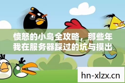 愤怒的小鸟全攻略,那些年我在服务器踩过的坑与摸出的野路子 愤怒的小鸟全攻略,那些年我在服务器踩过的坑与摸出的野路子