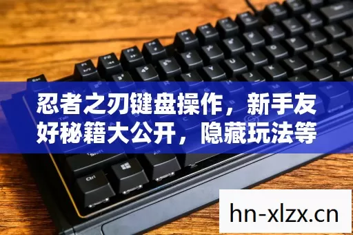 新手友好秘籍大公开图片