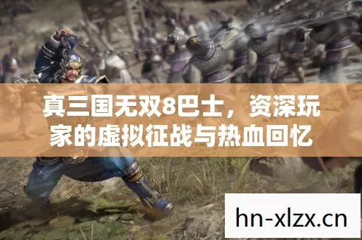 资深玩家的虚拟征战与热血回忆图片