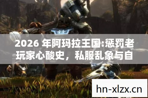 2026 年阿玛拉王国:惩罚老玩家心酸史,私服乱象与自救指南 2026 年阿玛拉王国:惩罚老玩家心酸史,私服乱象与自救指南