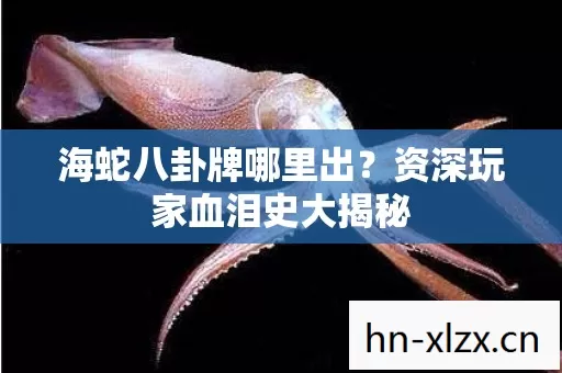 海蛇八卦牌哪里出?资深玩家血泪史大揭秘 海蛇八卦牌哪里出?资深玩家血泪史大揭秘