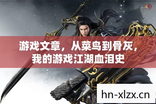 我的游戏江湖血泪史图片