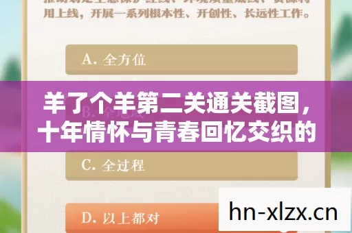 十年情怀与青春回忆交织的实测认证指南图片