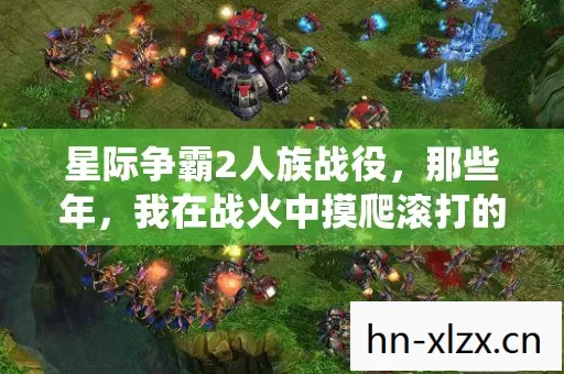 我在战火中摸爬滚打的热血征程图片