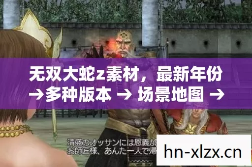 公布无双大蛇z素材排名图片