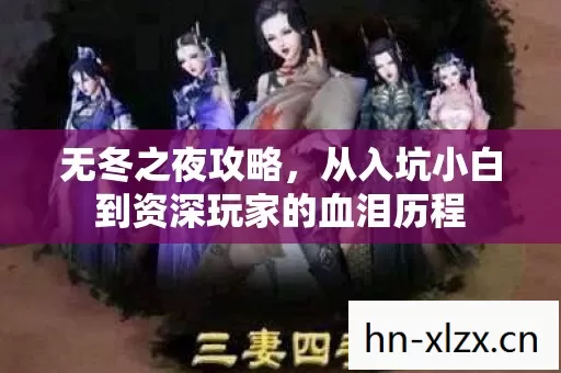 从入坑小白到资深玩家的血泪历程图片