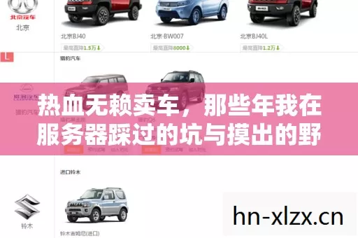 那些年我在服务器踩过的坑与摸出的野路子图片