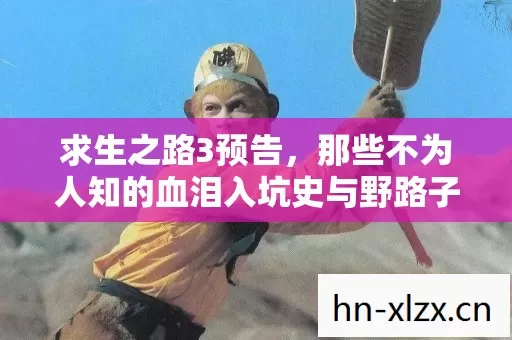 那些不为人知的血泪入坑史与野路子玩法大揭秘图片