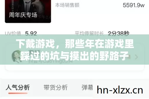 下戴游戏,那些年在游戏里踩过的坑与摸出的野路子 下戴游戏,那些年在游戏里踩过的坑与摸出的野路子