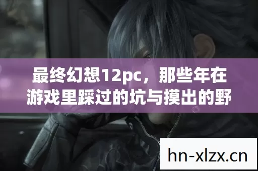 最终幻想12pc，那些年在游戏里踩过的坑与摸出的野路子